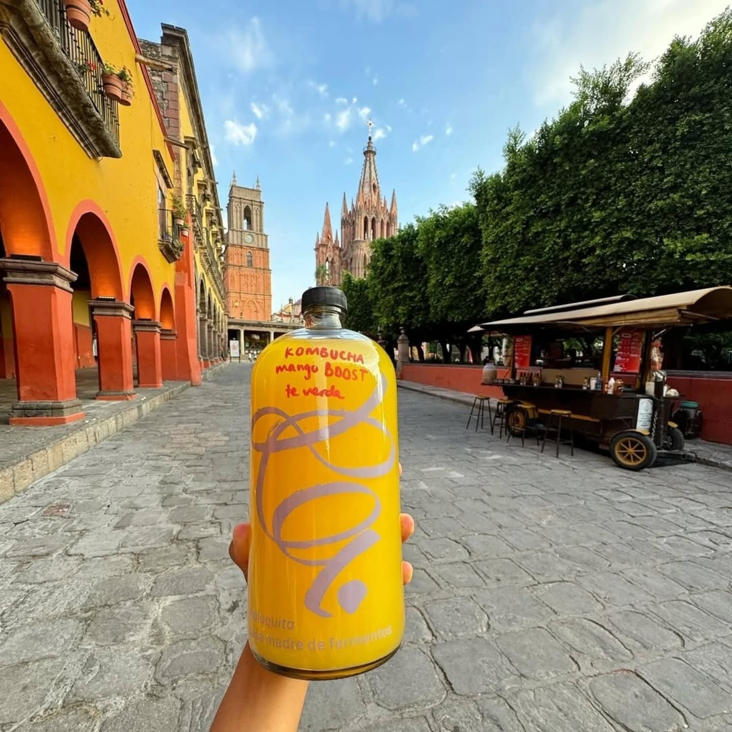 Fermente fest 261.webp