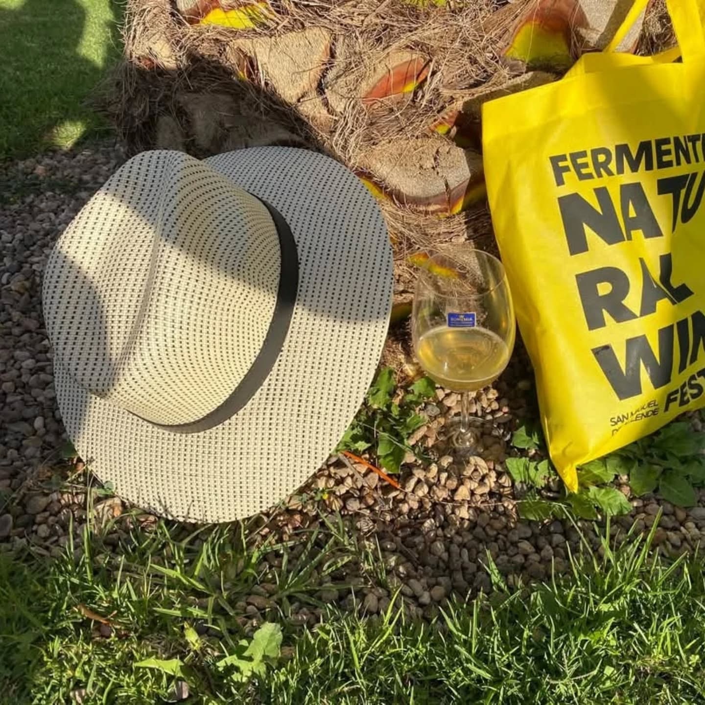 Fermente fest 262.webp