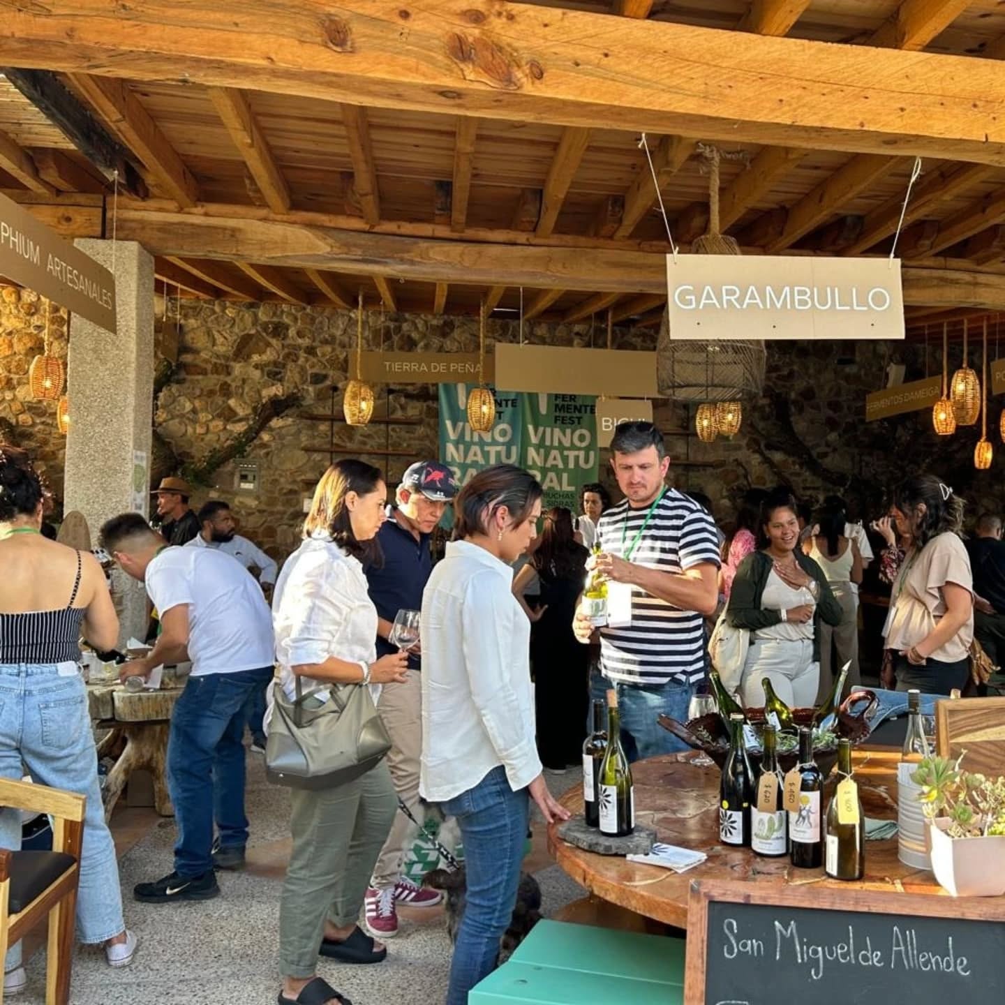 Fermente fest 264.webp