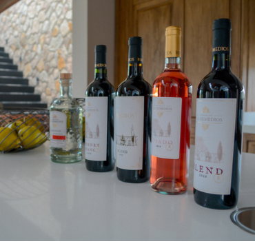 ae7b4e3ad7f450e544bc9e7f5821970f370360