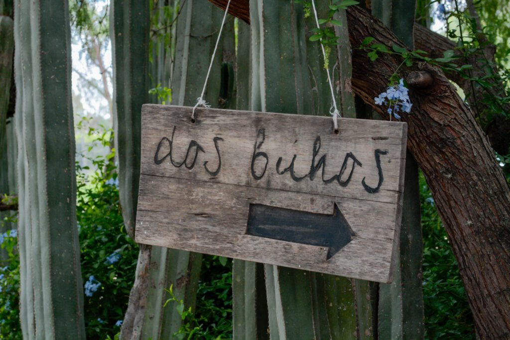 Vista de Bodega Dos Búhos en San Miguel de Allende