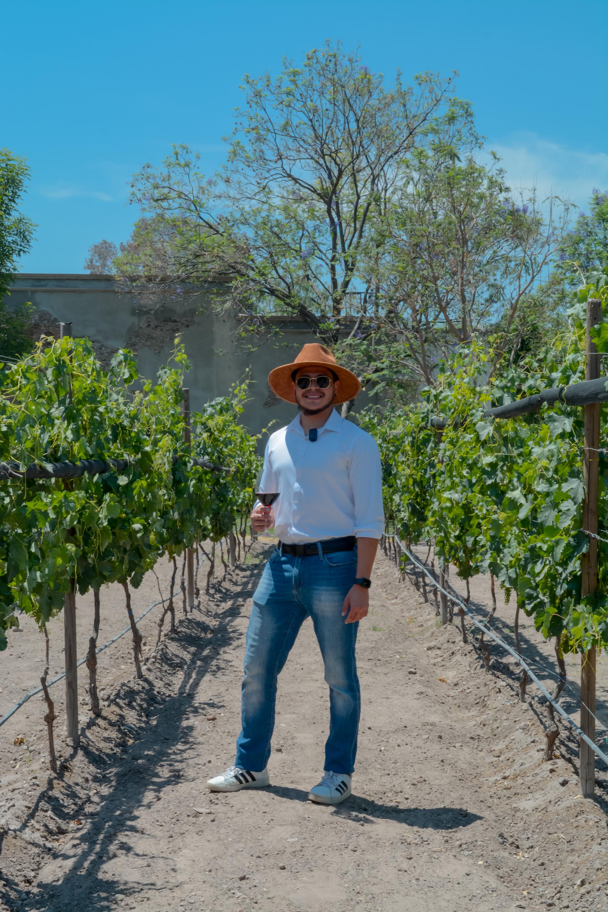 los remedios vertical 25