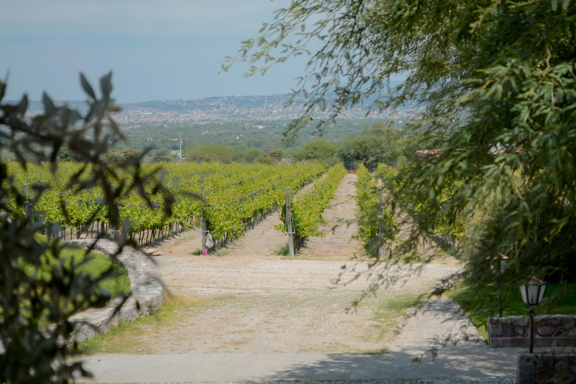 san jose la vista horizontal 17