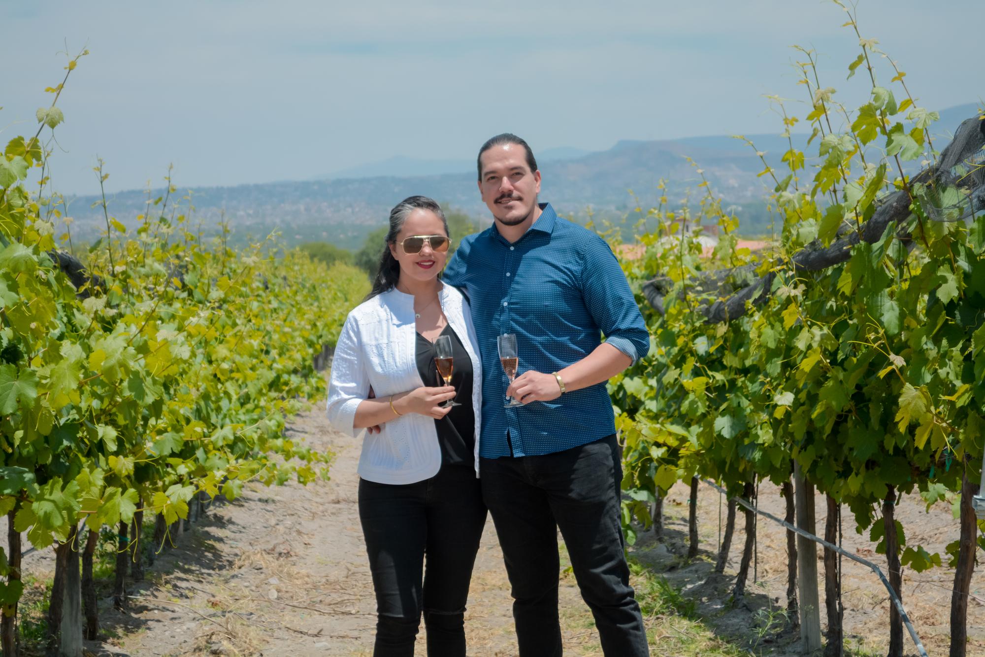 san jose la vista horizontal 3