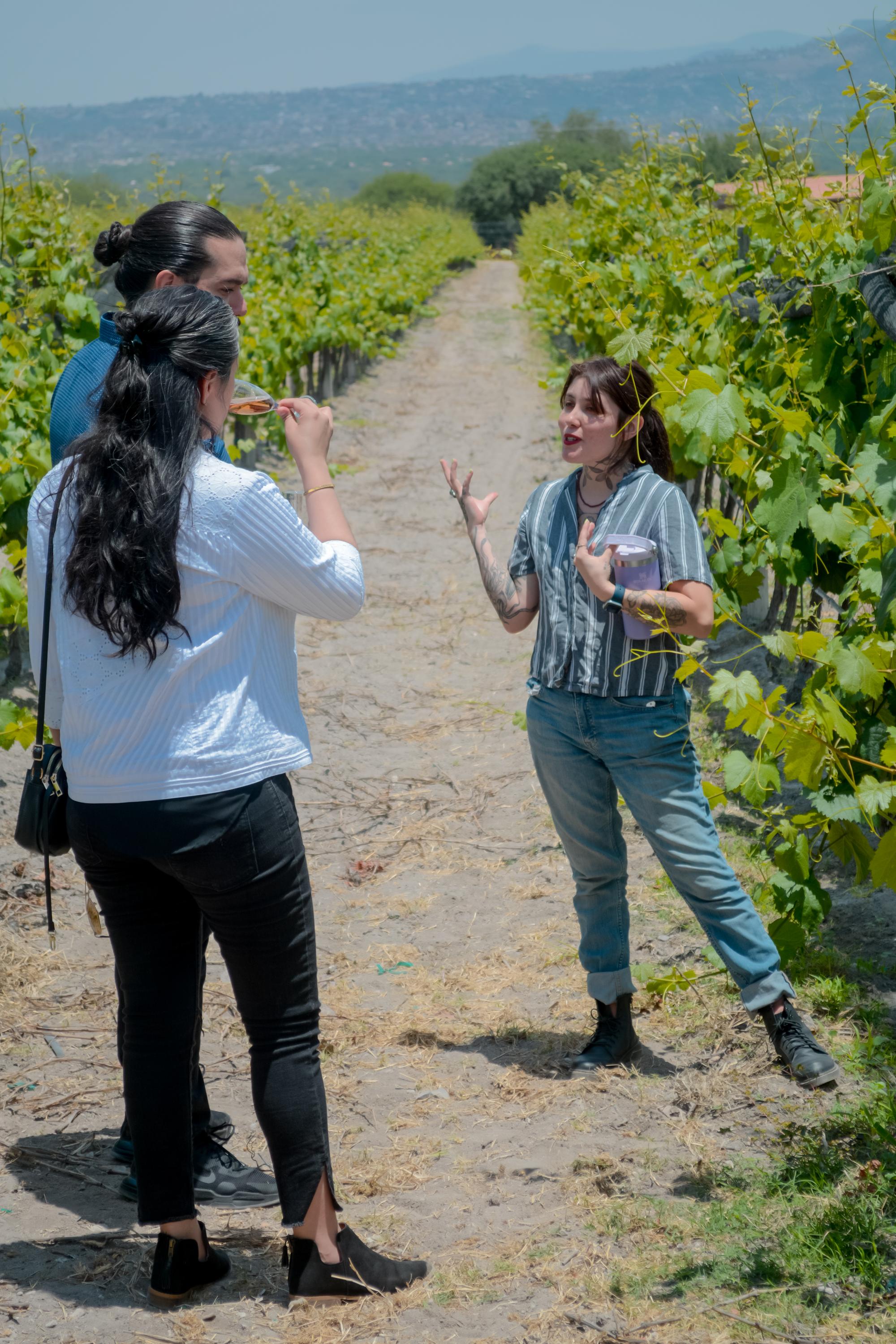 san jose la vista vertical 5