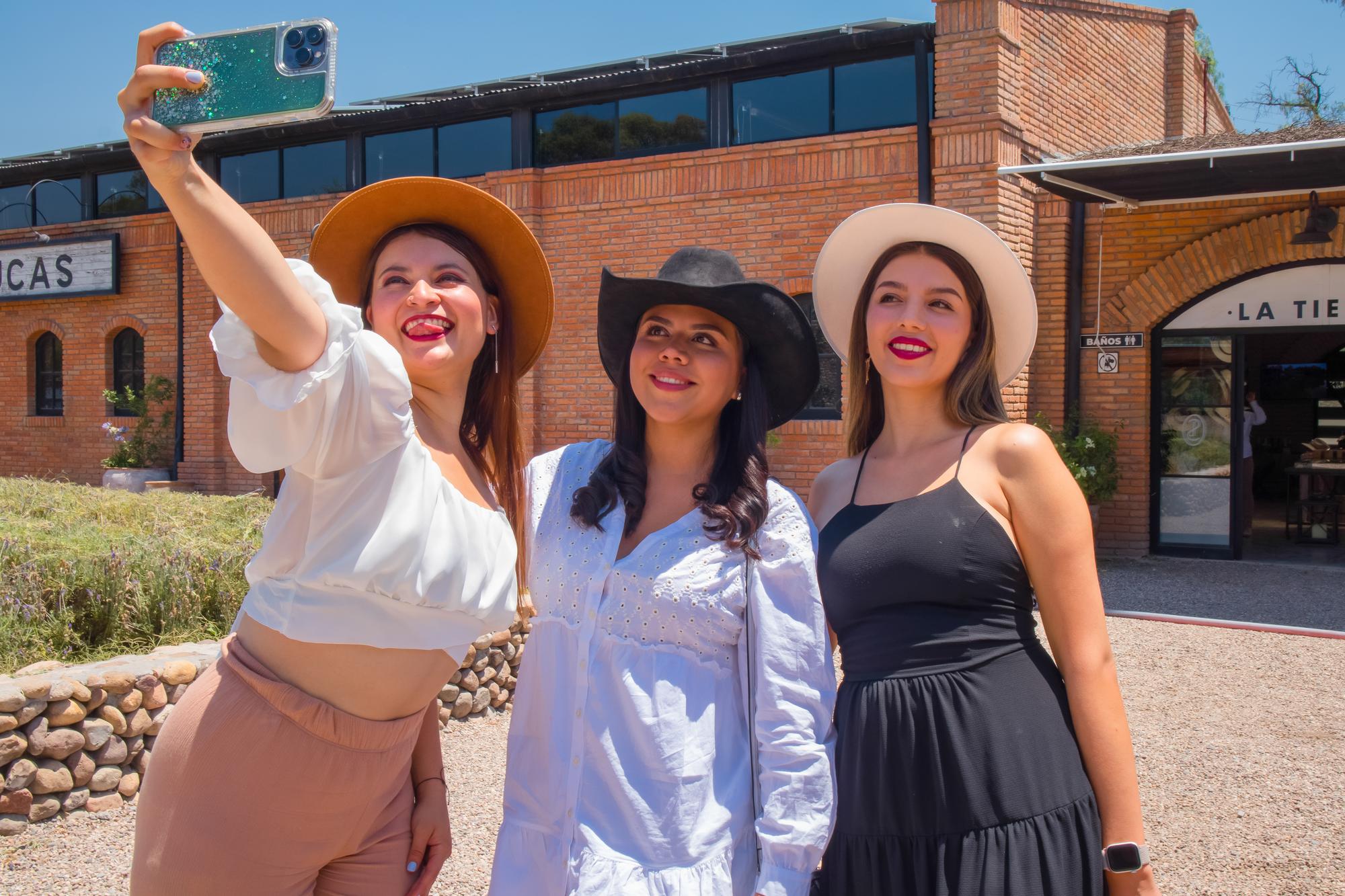 vinedo san lucas horizontal 29