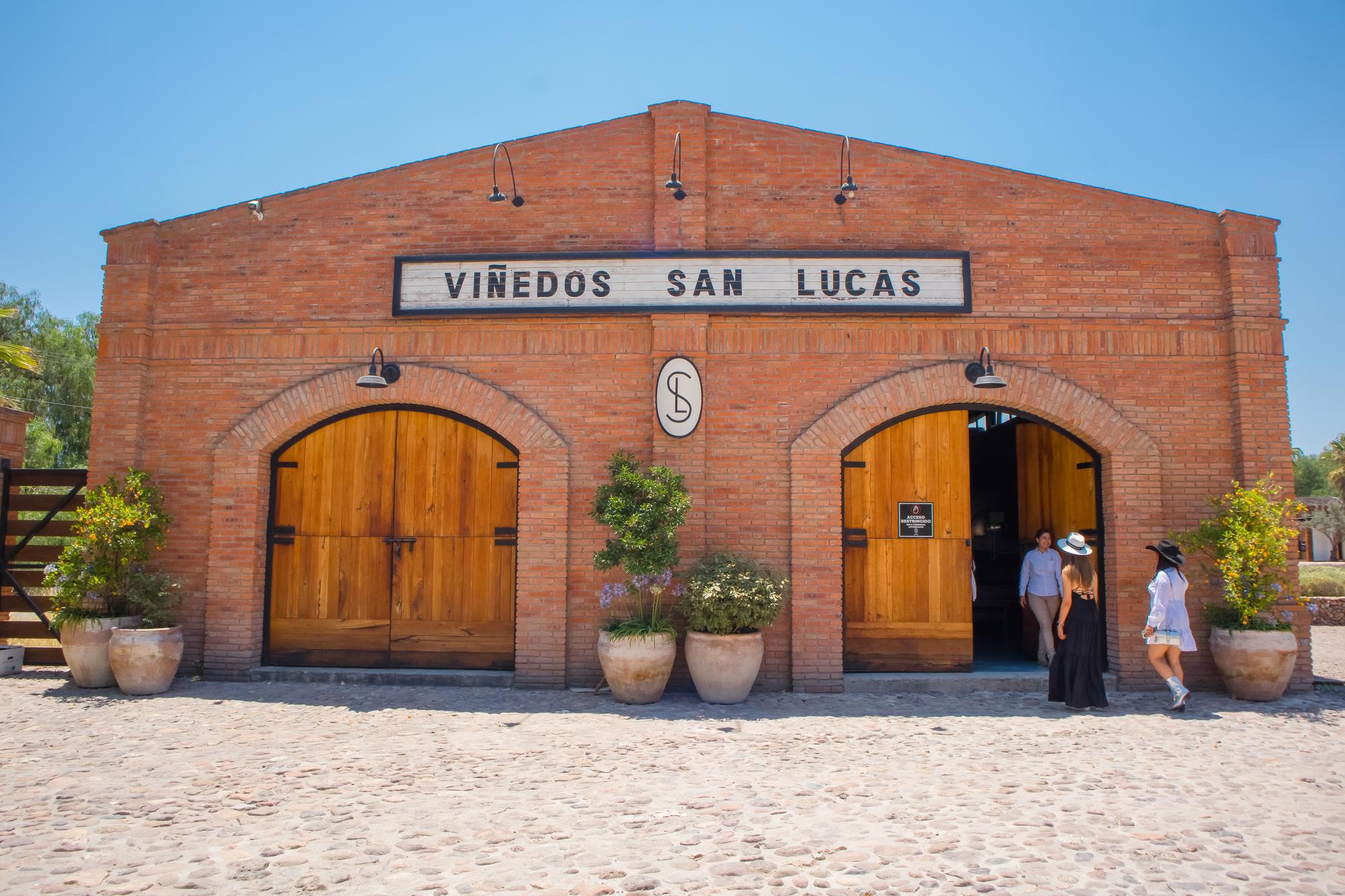 vinedo san lucas horizontal 31