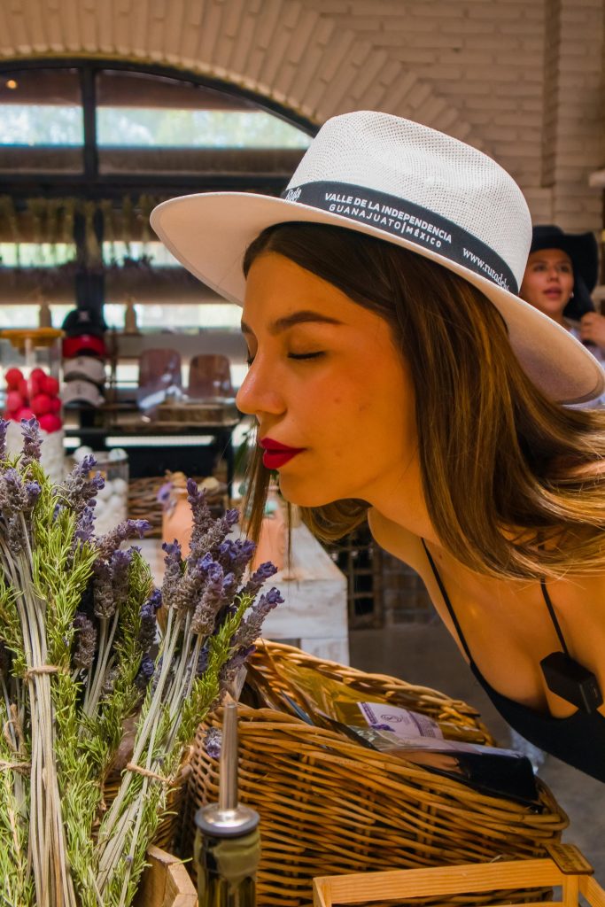 vinedo san lucas vertical 28 683x1024