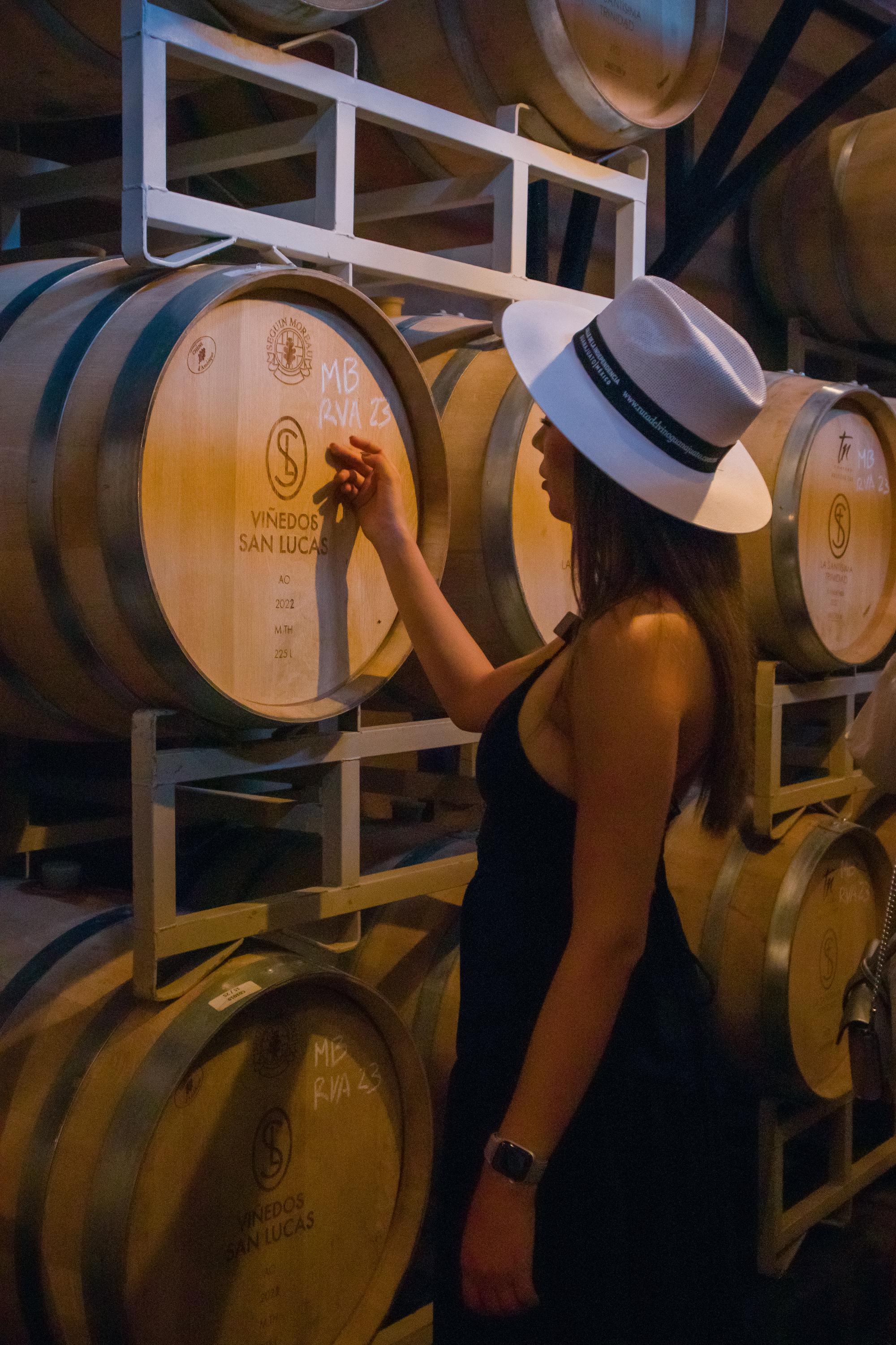 vinedo san lucas vertical 36