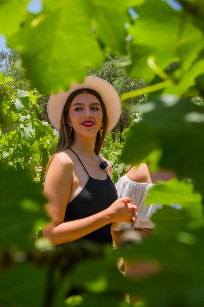 vinedo san lucas vertical 39 683x1024