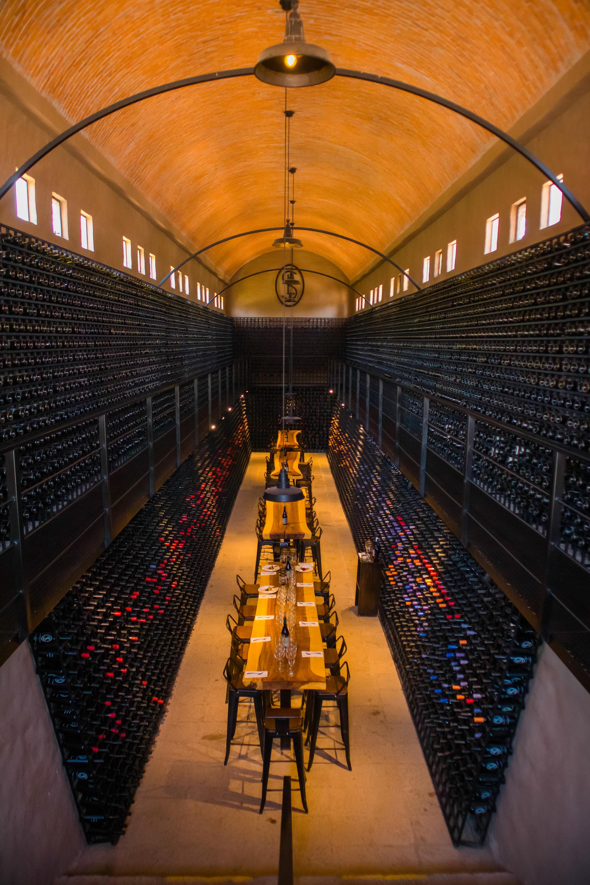 vinedo san lucas vertical 42