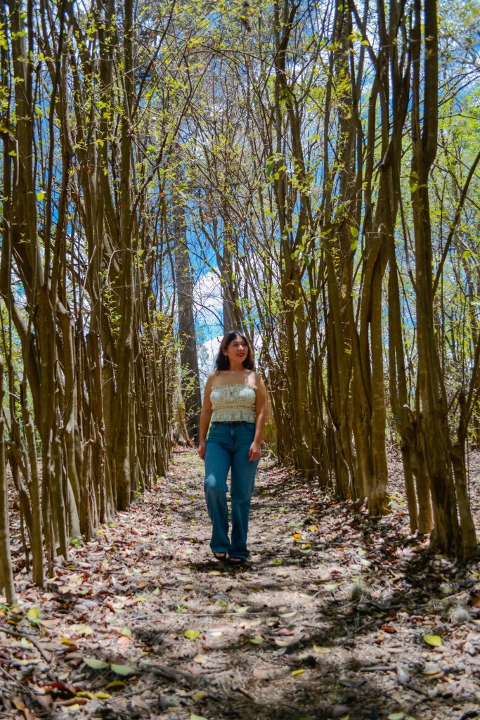 cabanas los nogales vertical 2 683x1024
