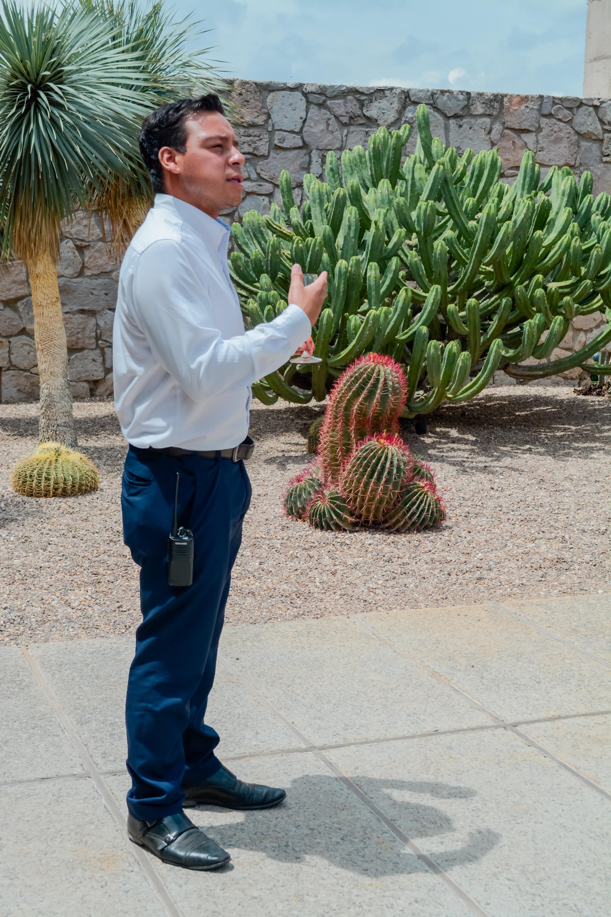 cuna de tierra vertical 41