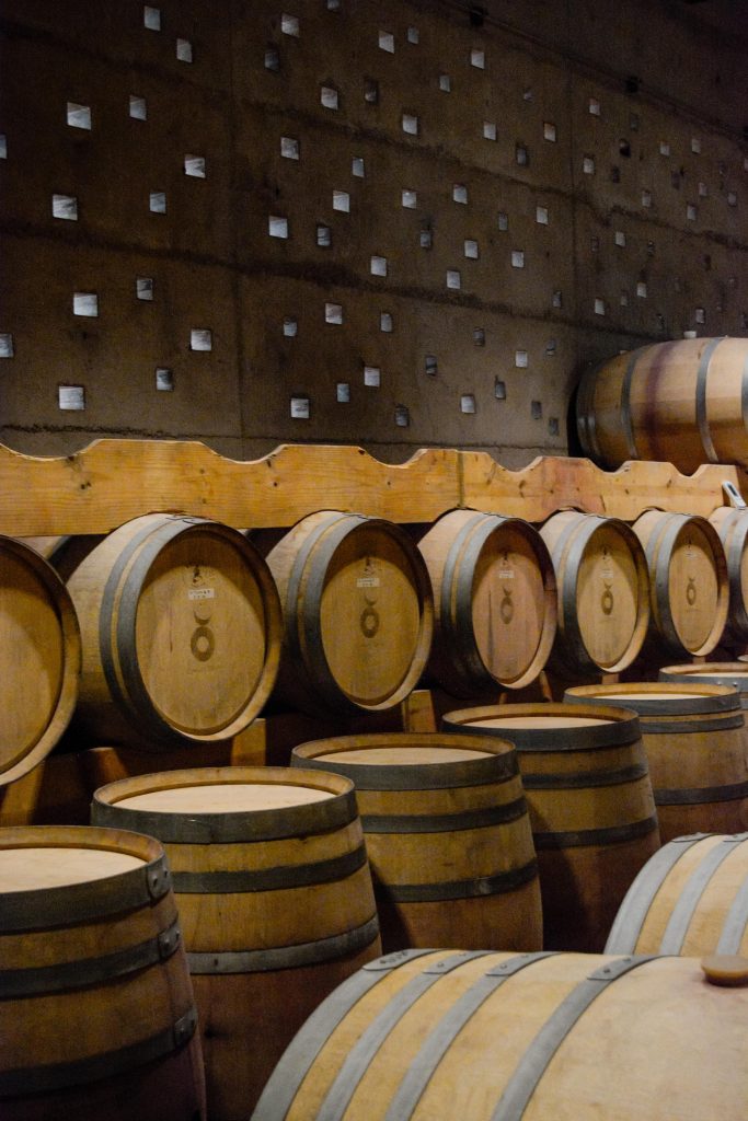 cuna de tierra vertical 48 683x1024