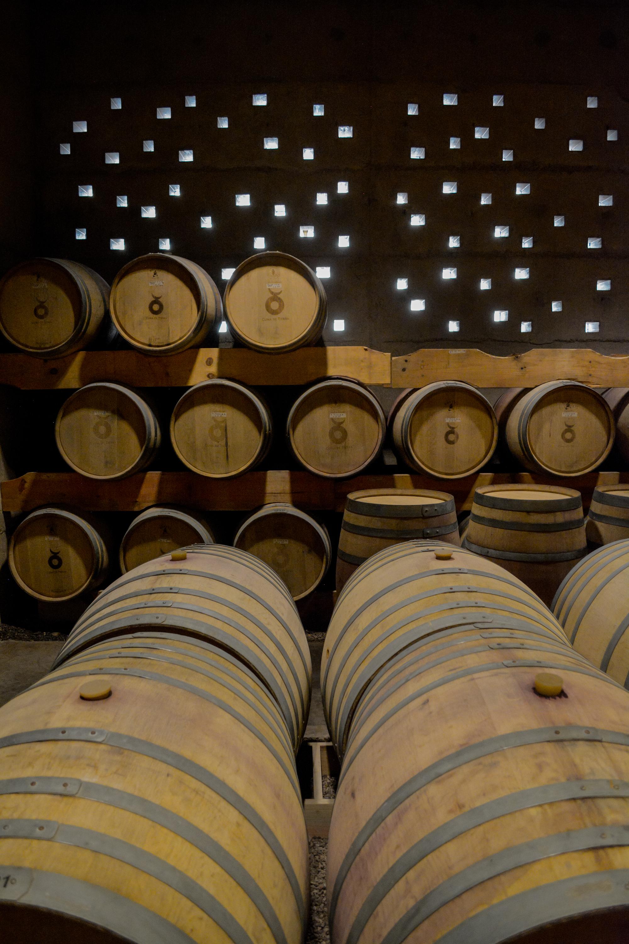 cuna de tierra vertical 49