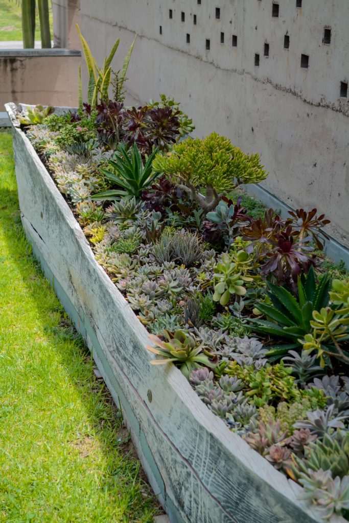 cuna de tierra vertical 56 683x1024