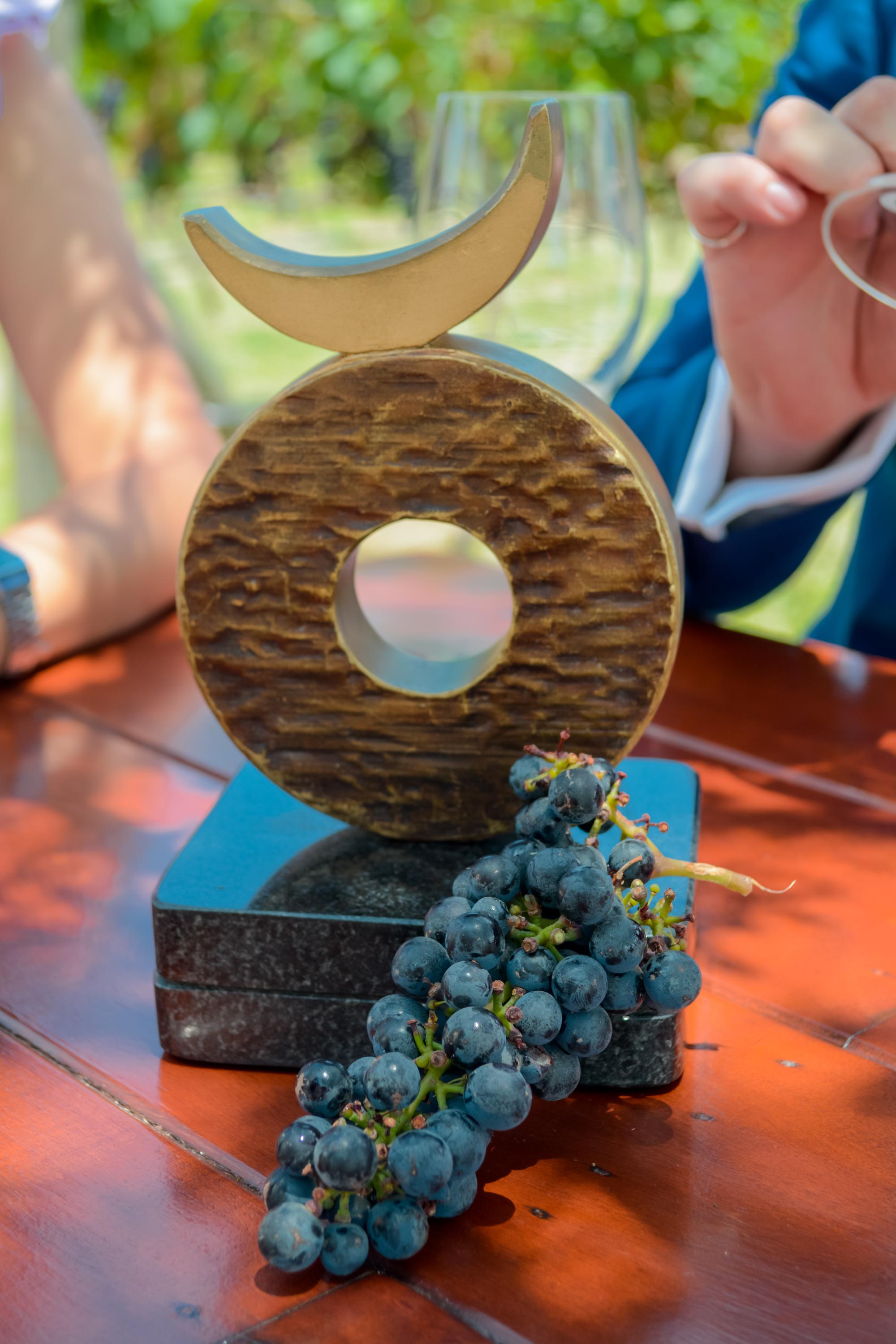 cuna de tierra vertical 97 1