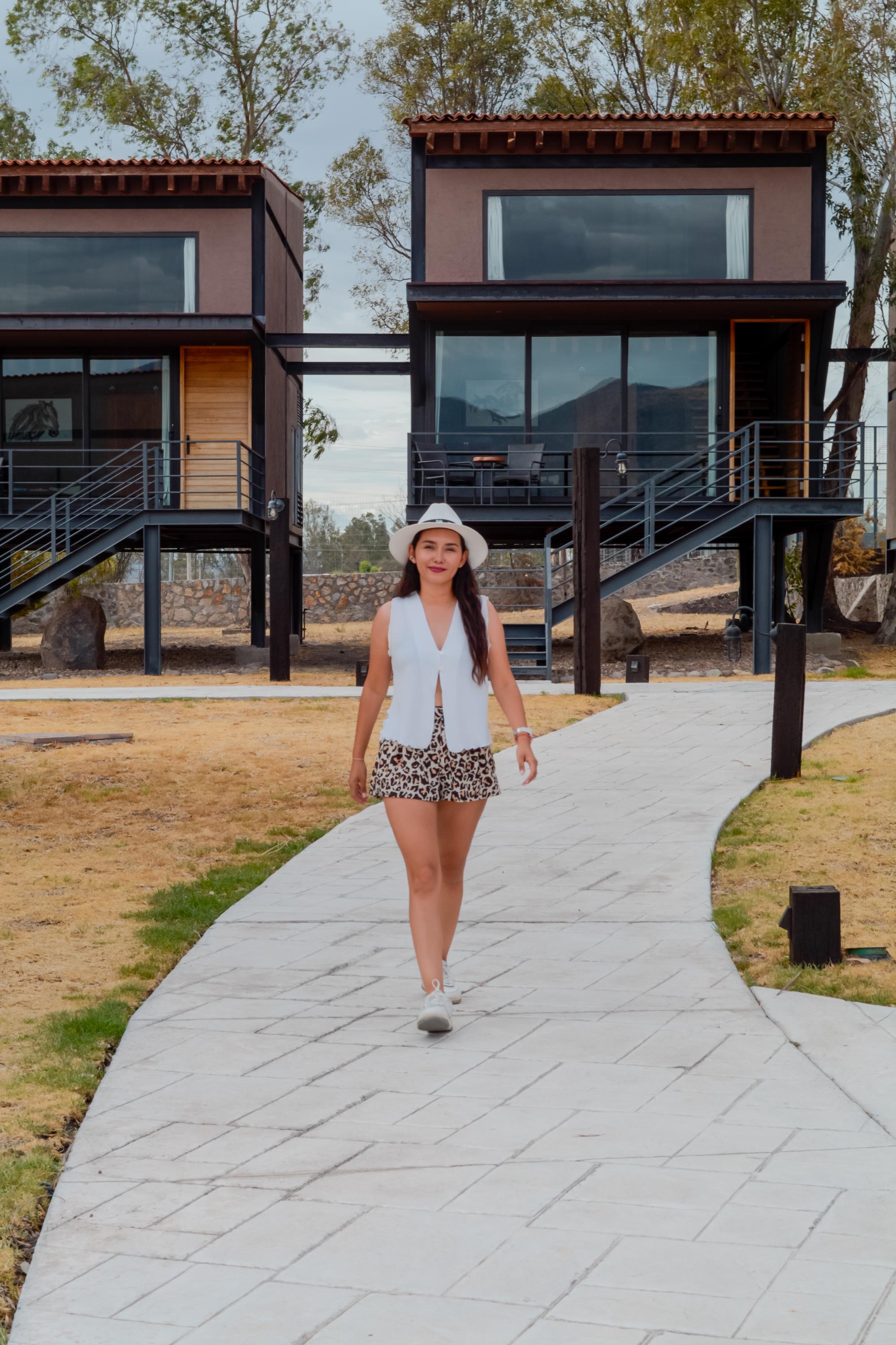 los picachos vertical 15