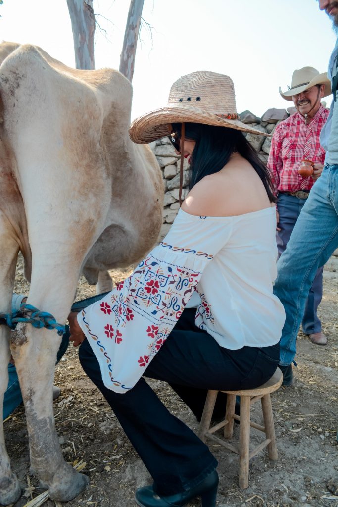 rancho xotolar vertical 8 683x1024