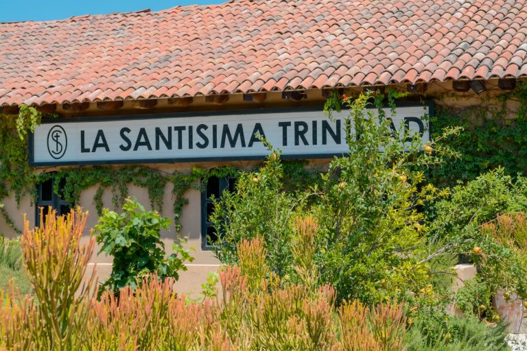 Viñedo La Santísima Trinidad