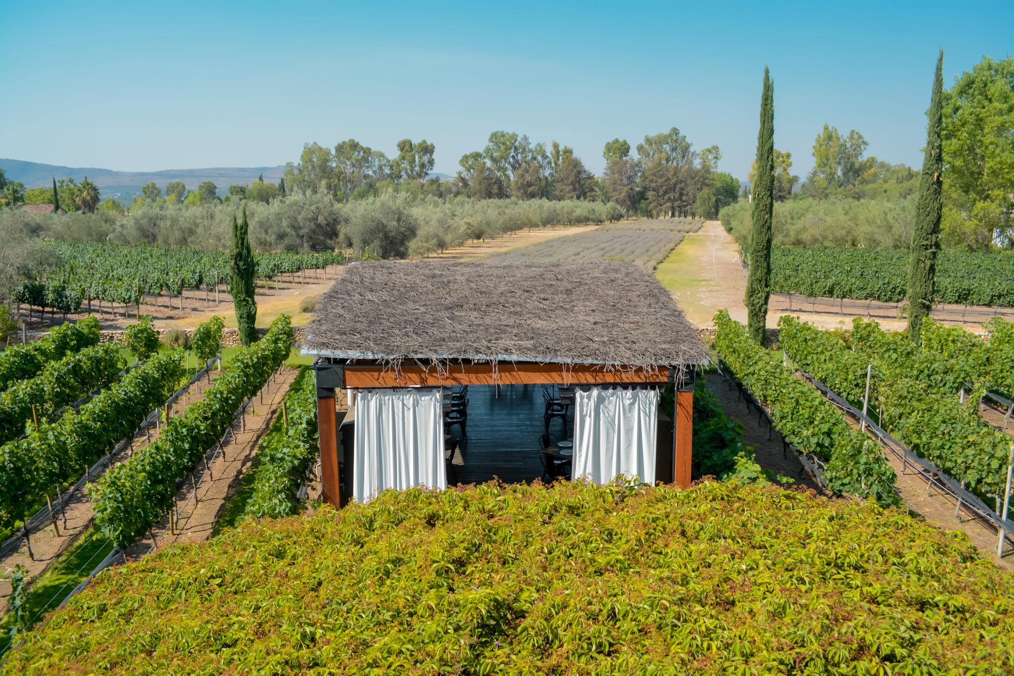 santisima trinidad horizontal 24