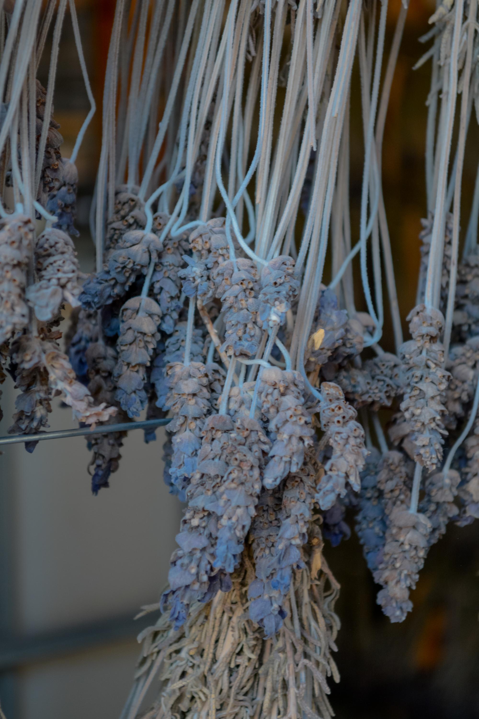 santisima trinidad vertical 23