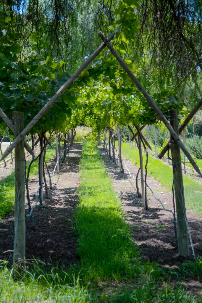 santisima trinidad vertical 28 683x1024