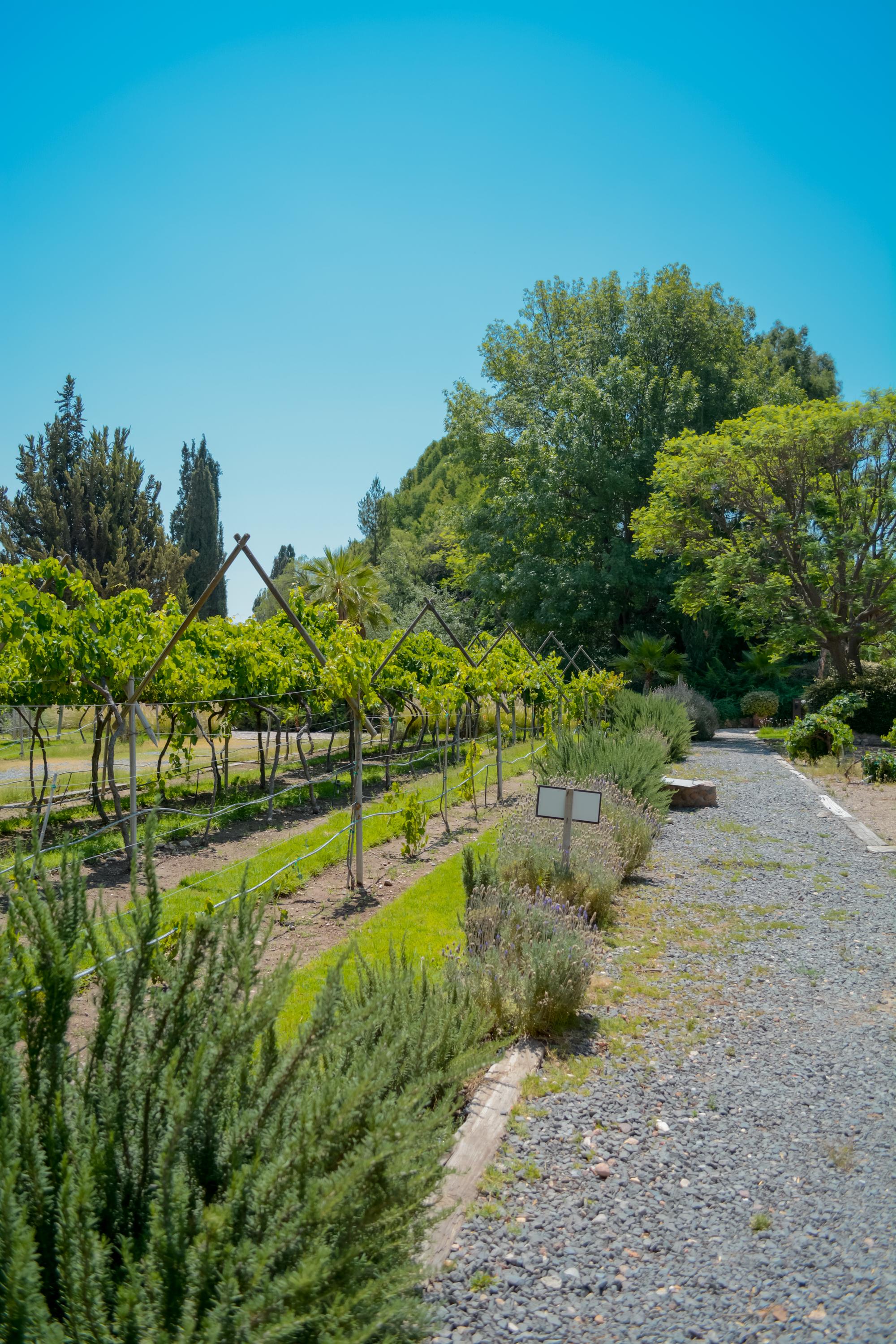 santisima trinidad vertical 30