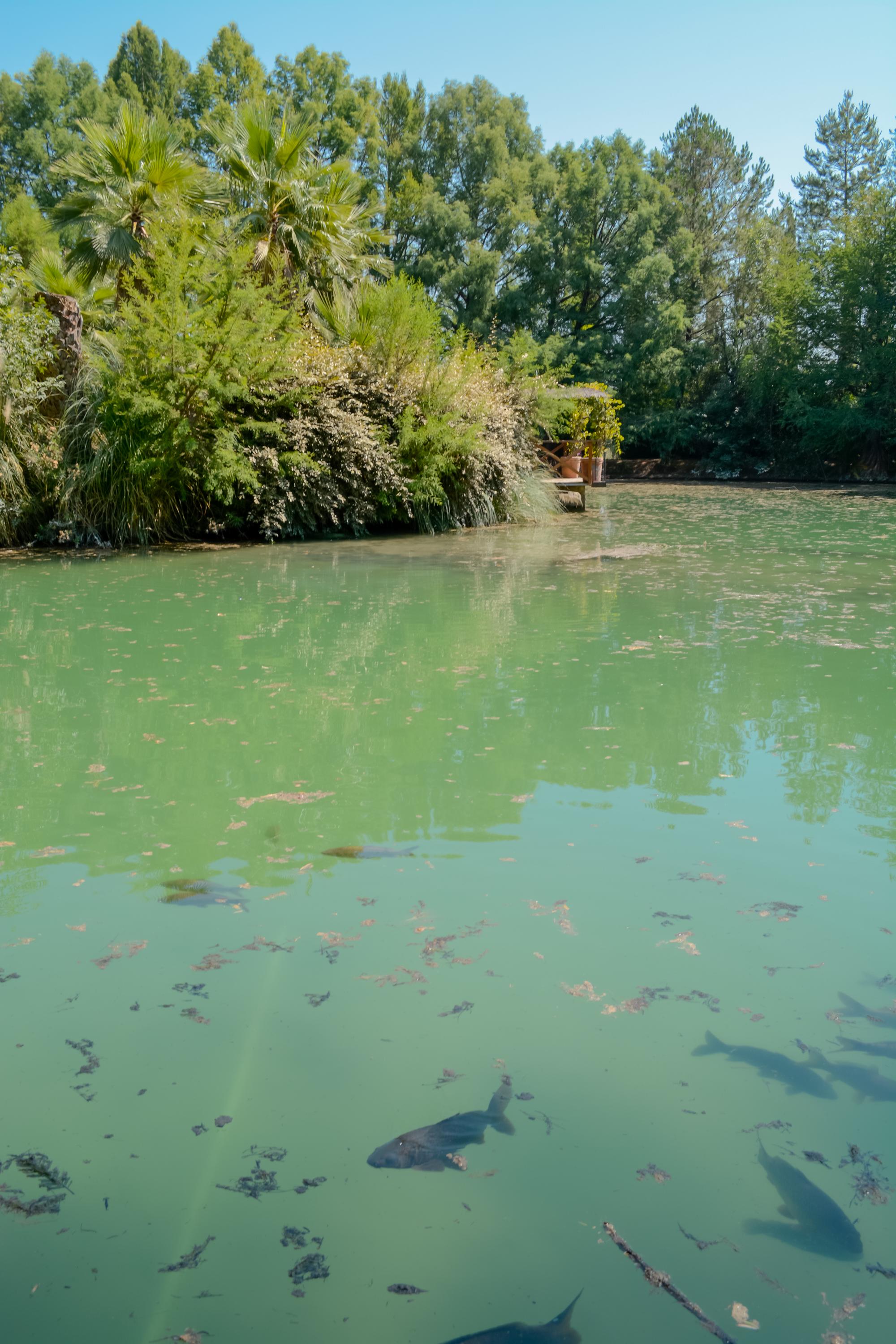 santisima trinidad vertical 7