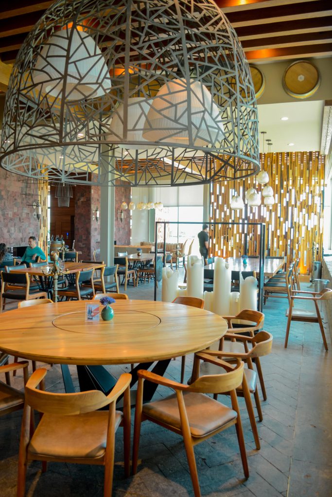 terruno vertical 14 683x1024