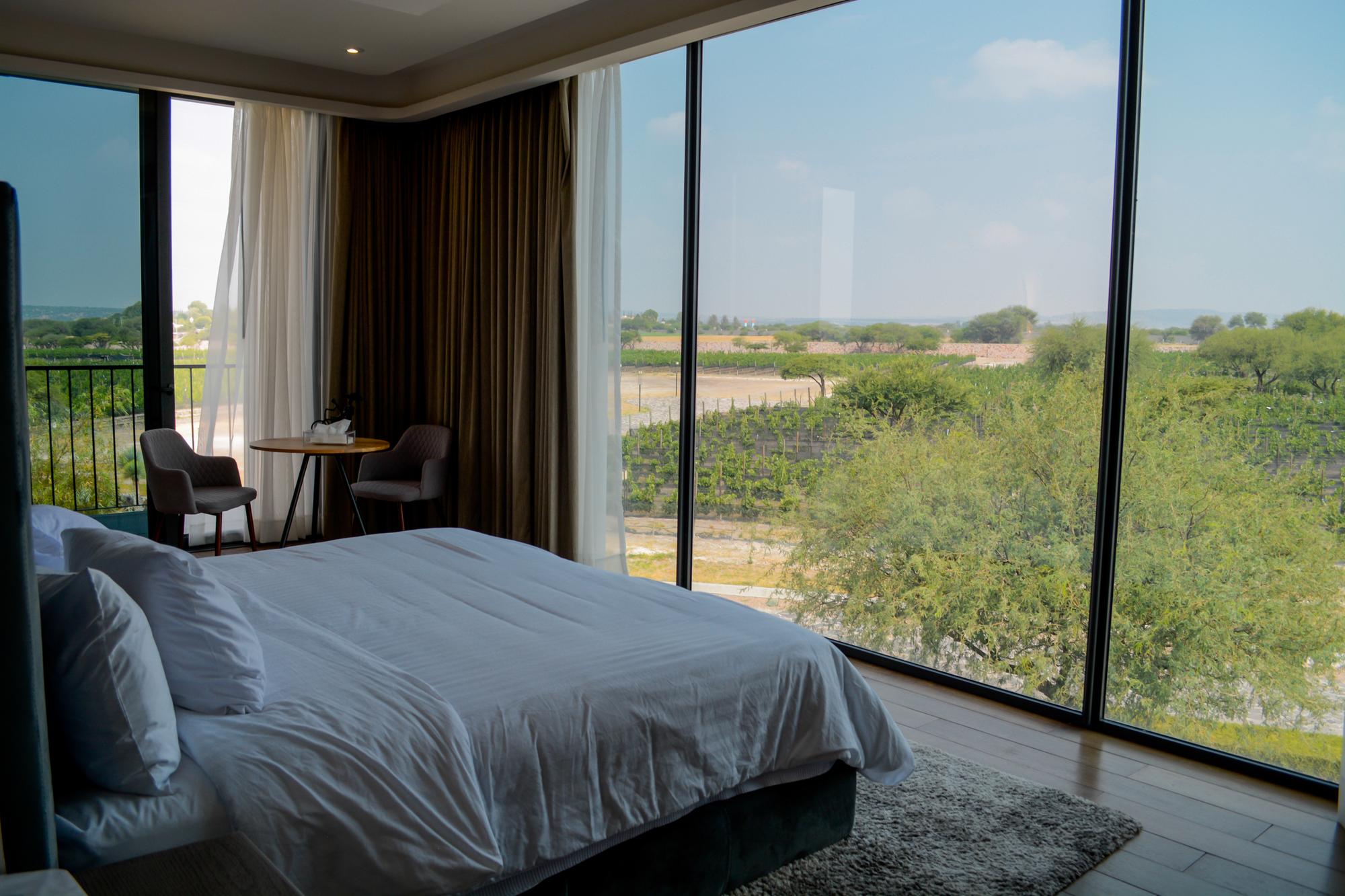 vina del cielo horizontal 2