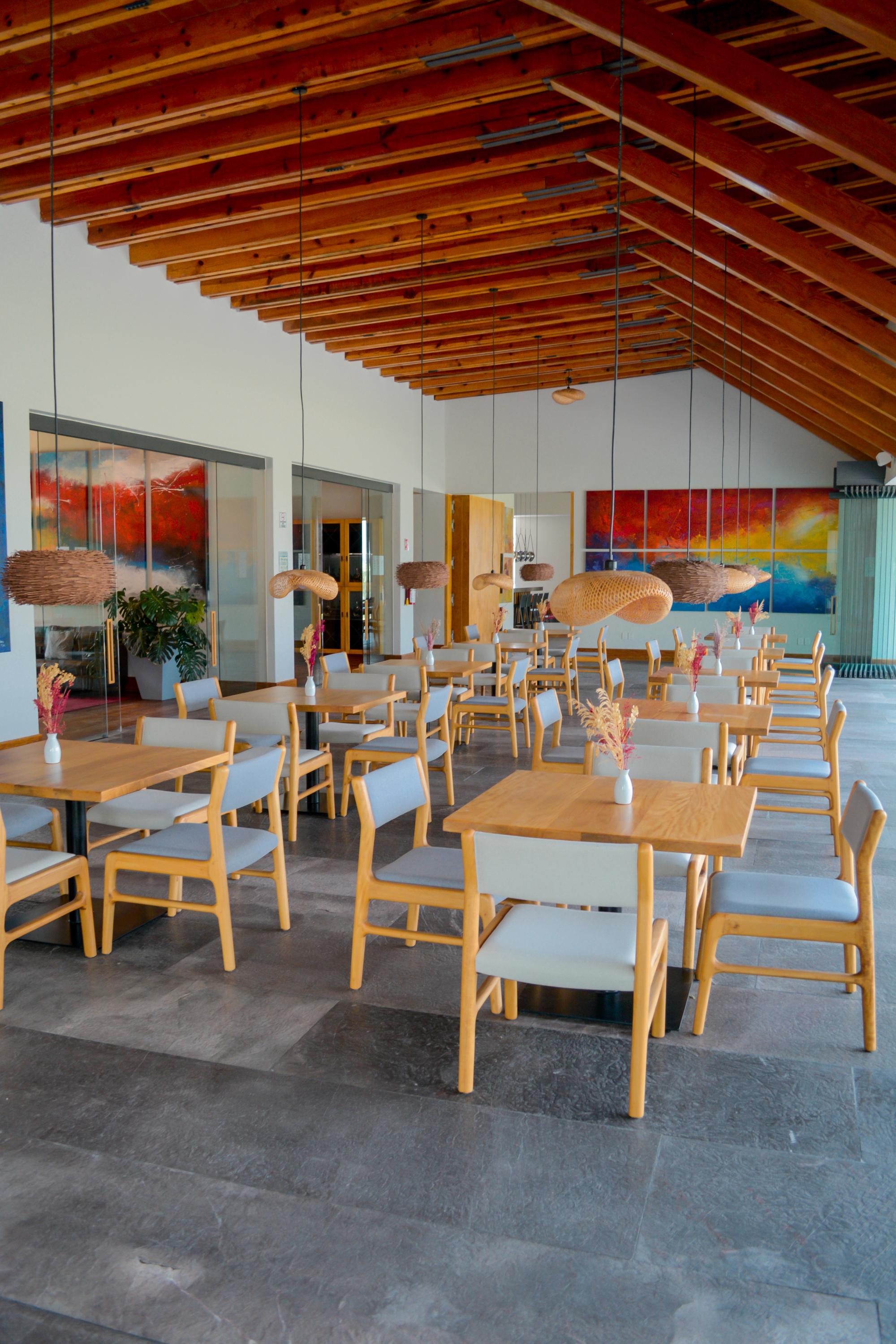 vina del cielo vertcial 43