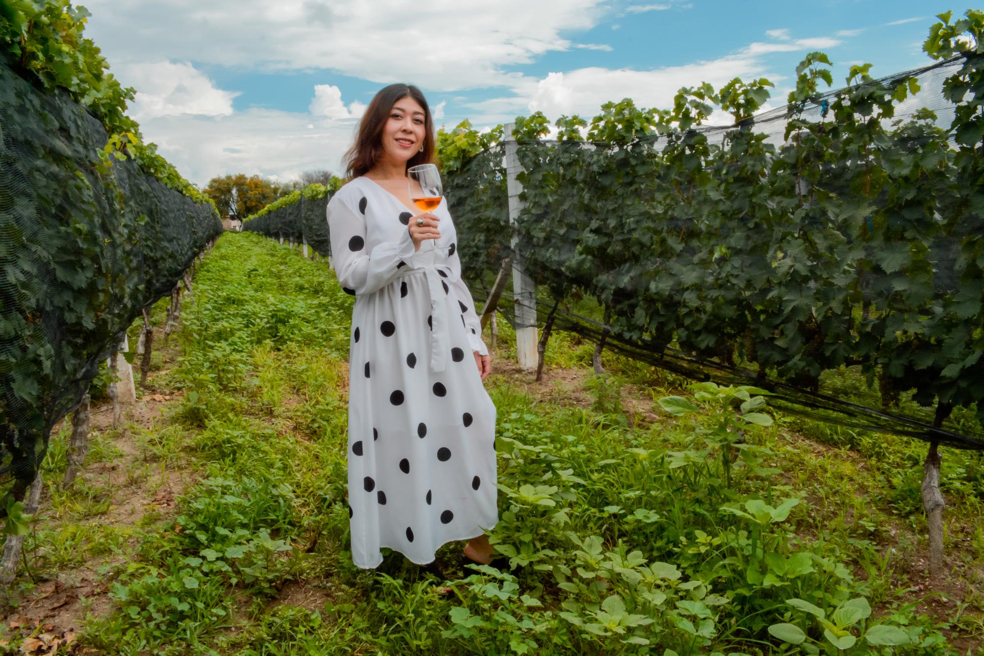 vinedo azteca horizontal 5