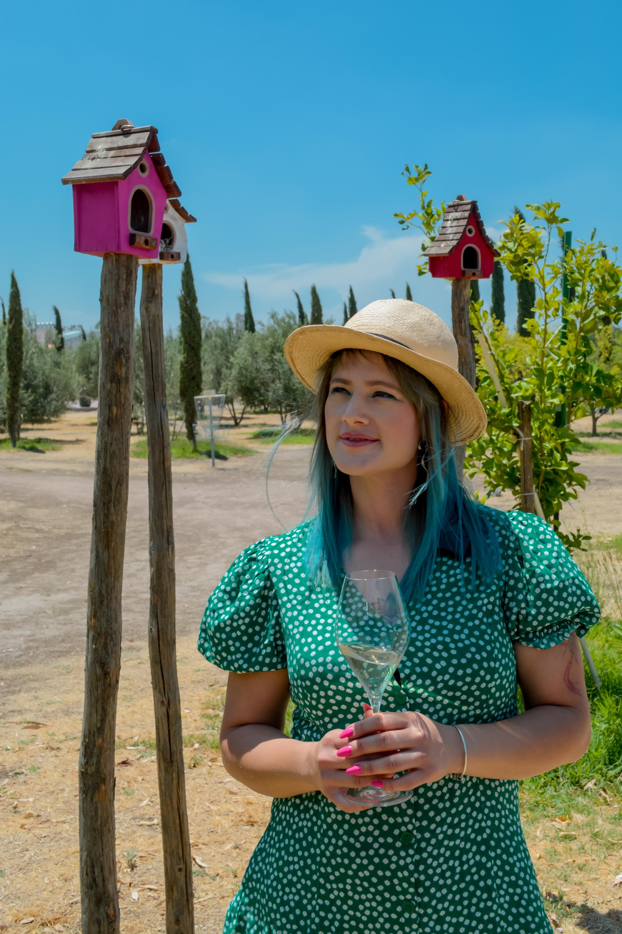 vinedo dos buhos vertical 10