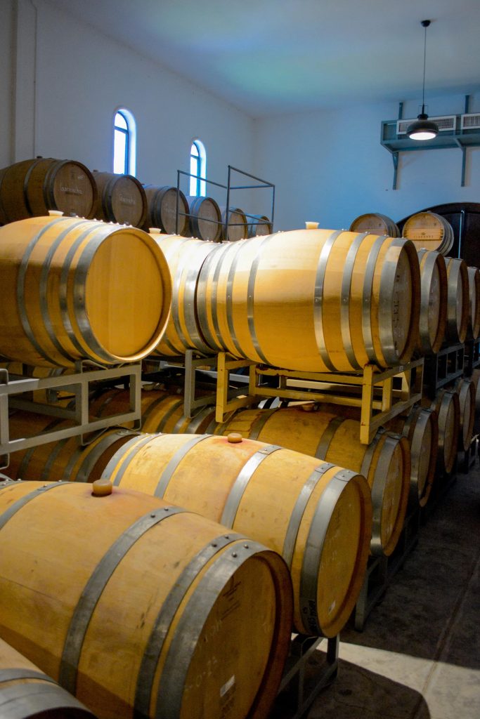 vinedo dos buhos vertical 15 683x1024