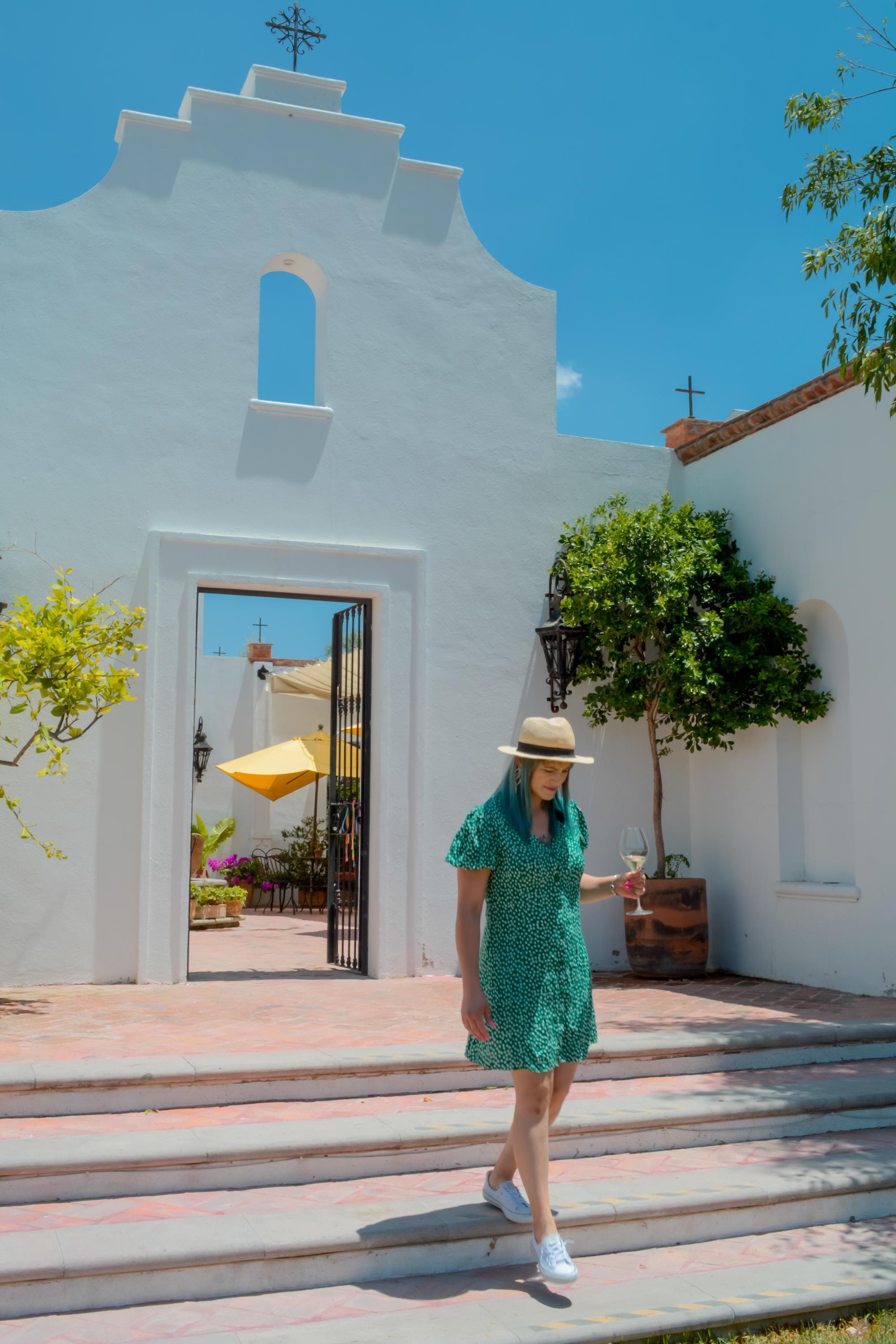 vinedo dos buhos vertical 2