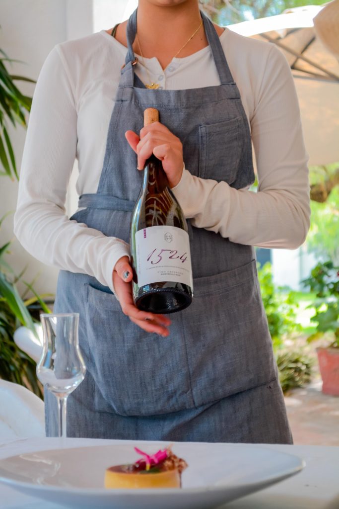 vinedo dos buhos vertical 36 683x1024