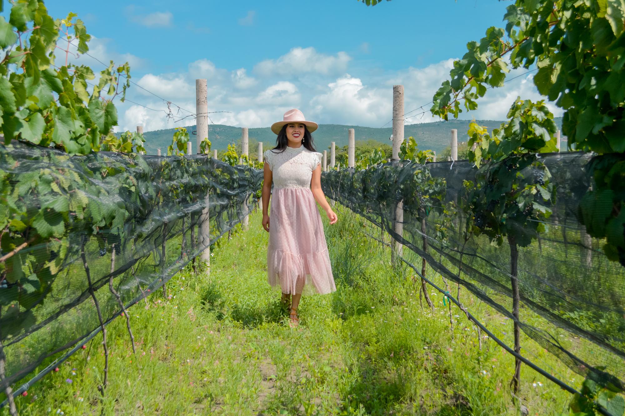 vinedo el raco horizontal 5