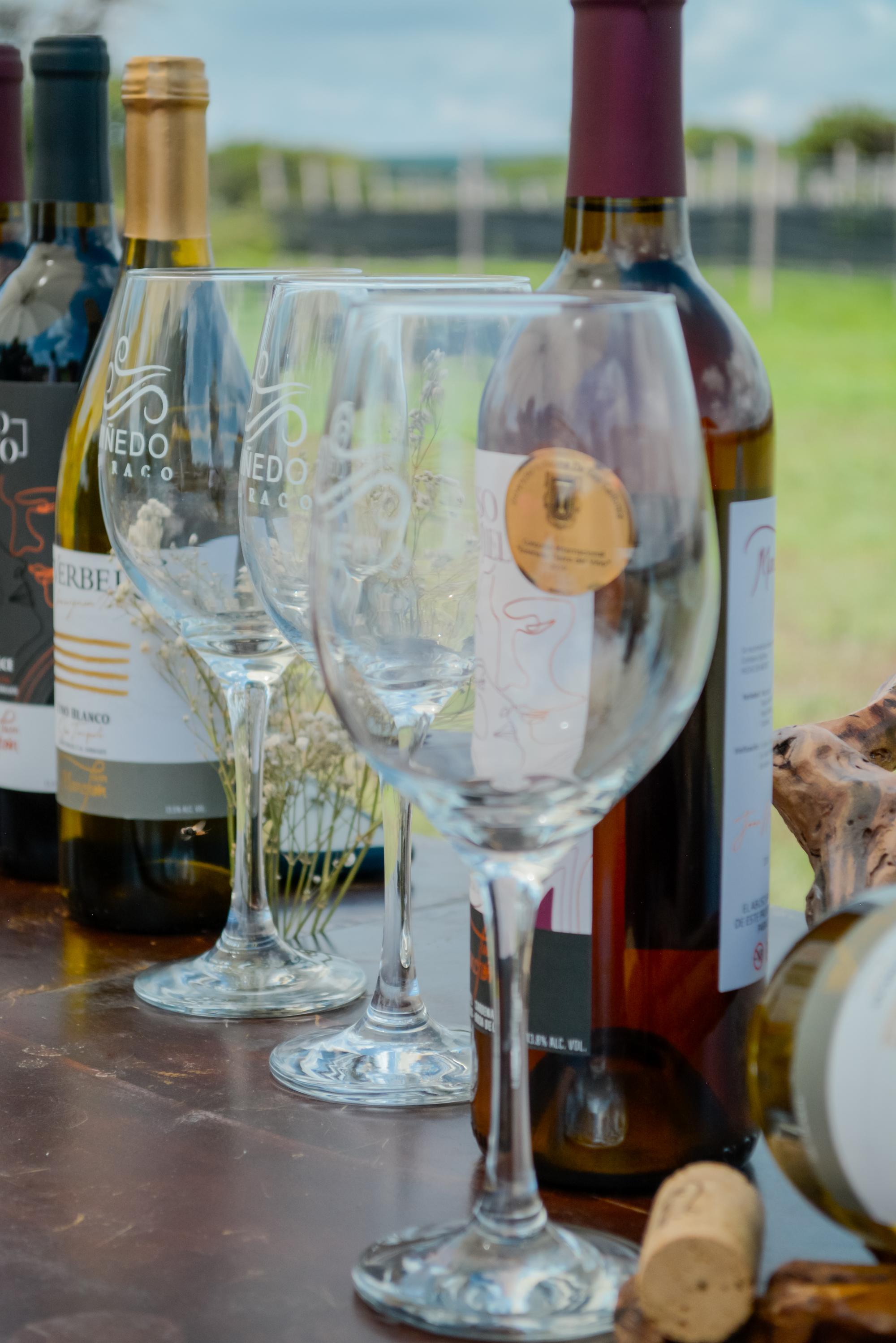 vinedo el raco vertical 23