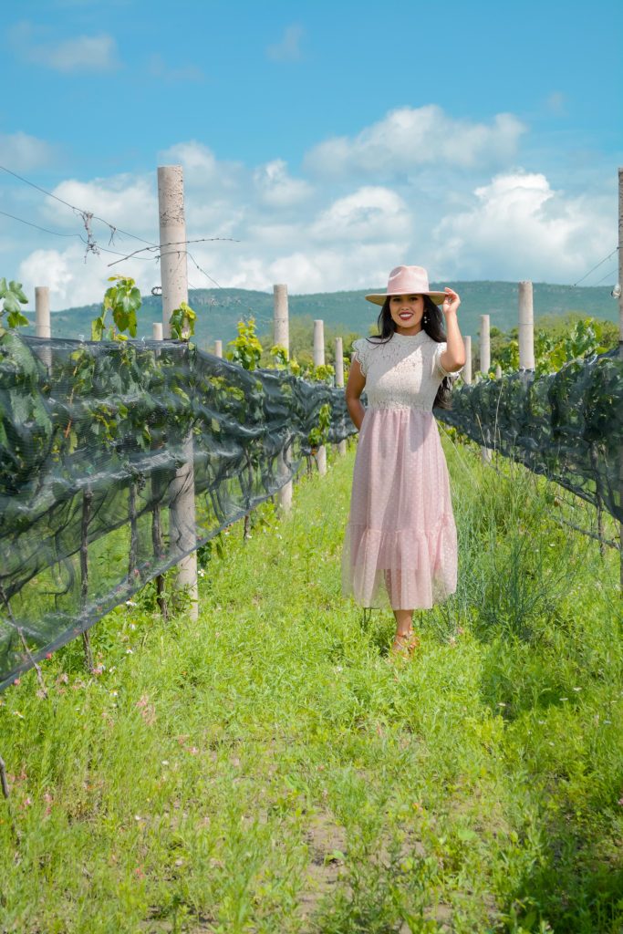 vinedo el raco vertical 3 683x1024