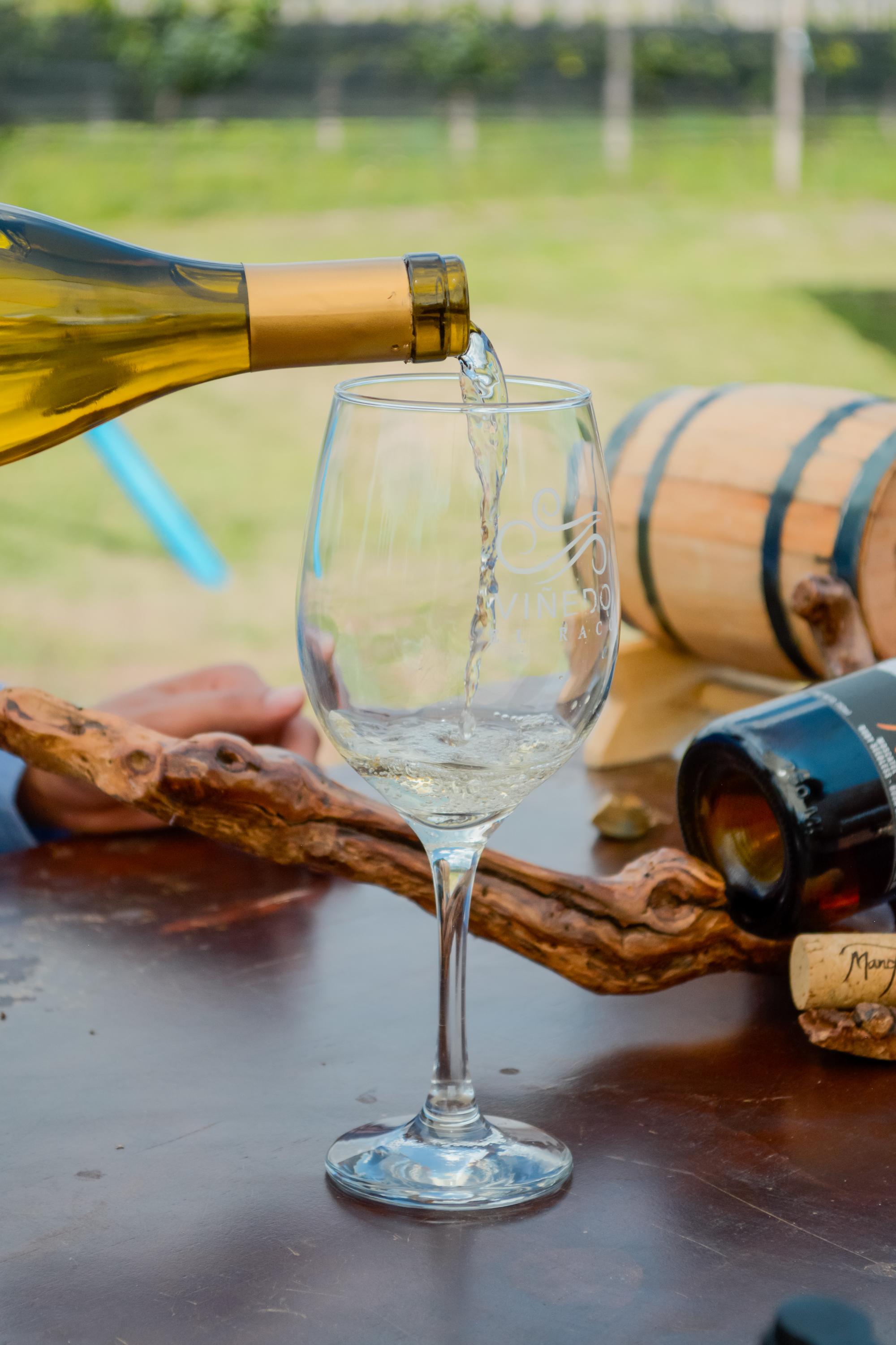 vinedo el raco vertical 30