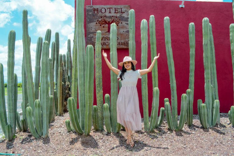 Viñedo los Arcángeles