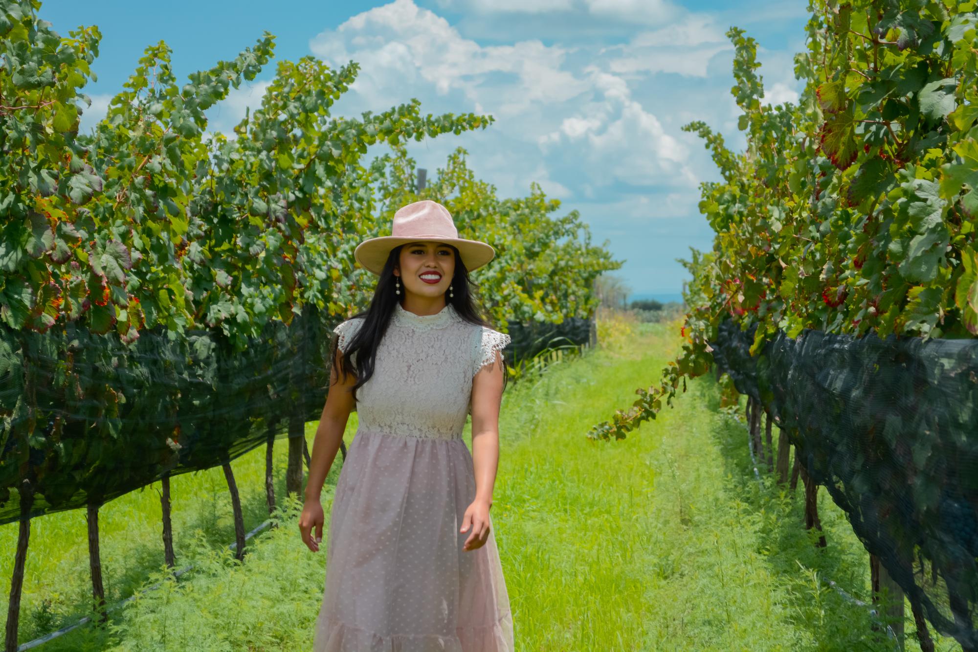 vinedo los arcangeles horizontal 20