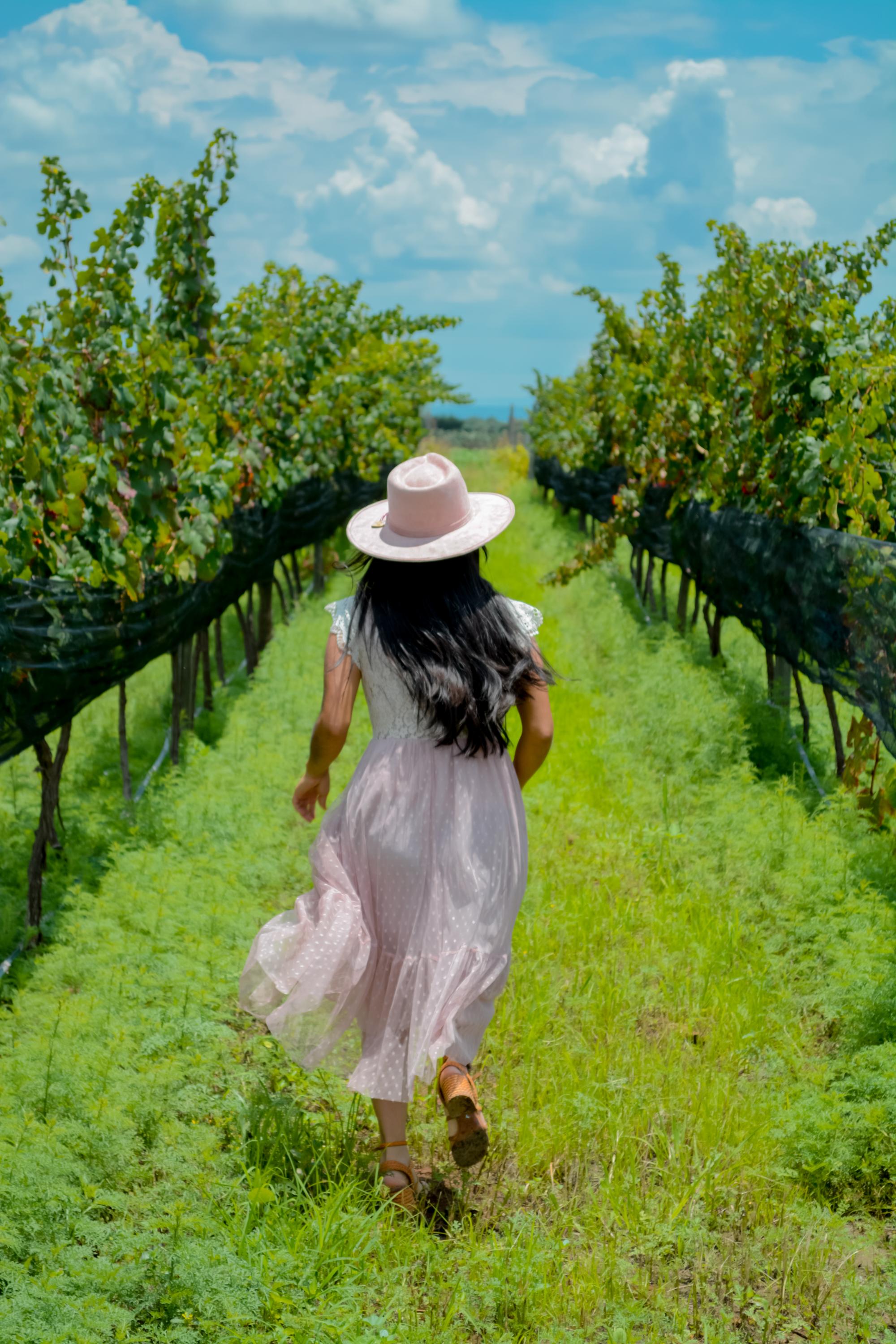 vinedo los arcangeles vertical 24