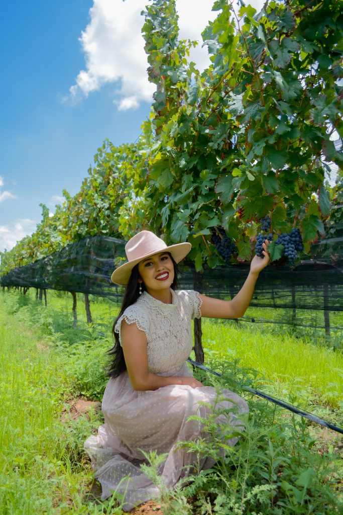 vinedo los arcangeles vertical 41 683x1024