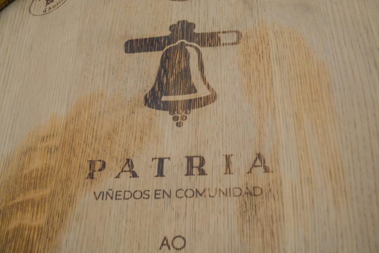 Viñedo Patria
