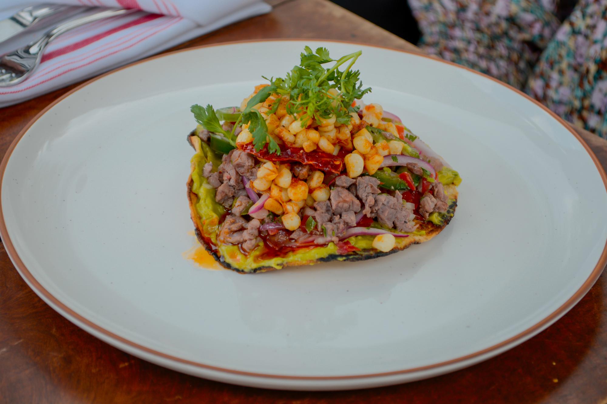 vinedo patria horizontal 10