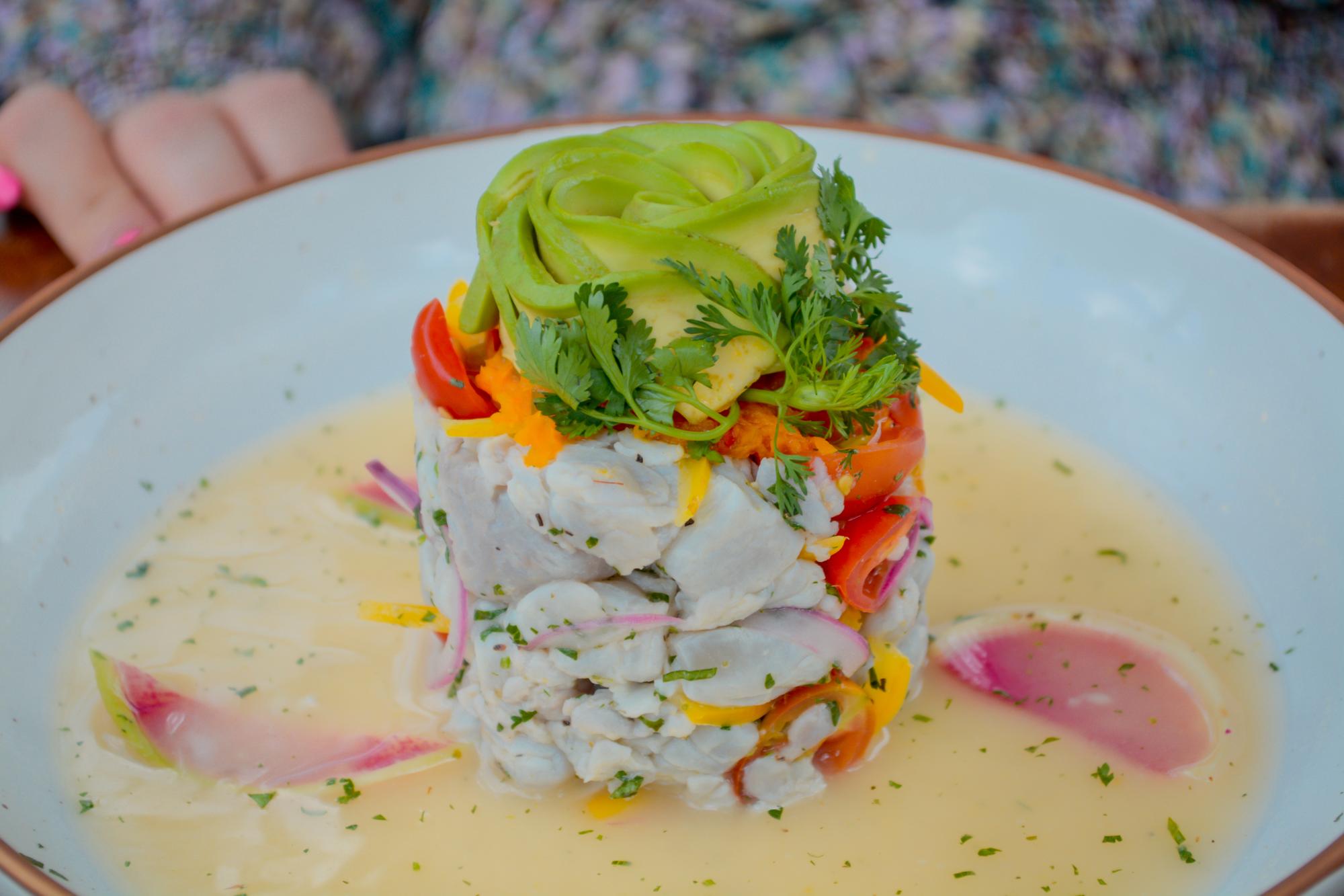 vinedo patria horizontal 14