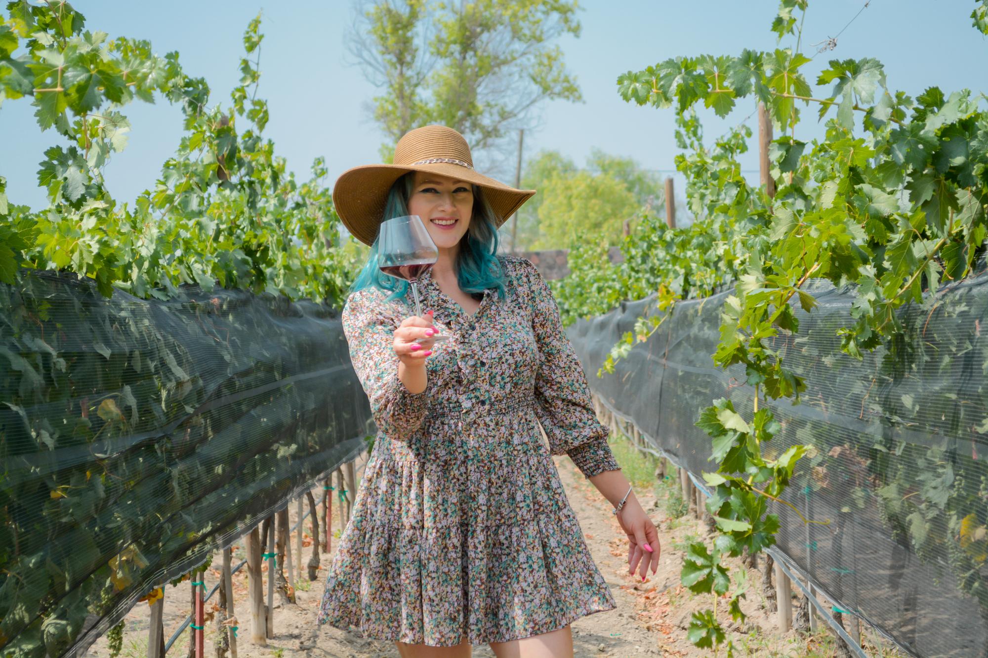 vinedo patria horizontal 18