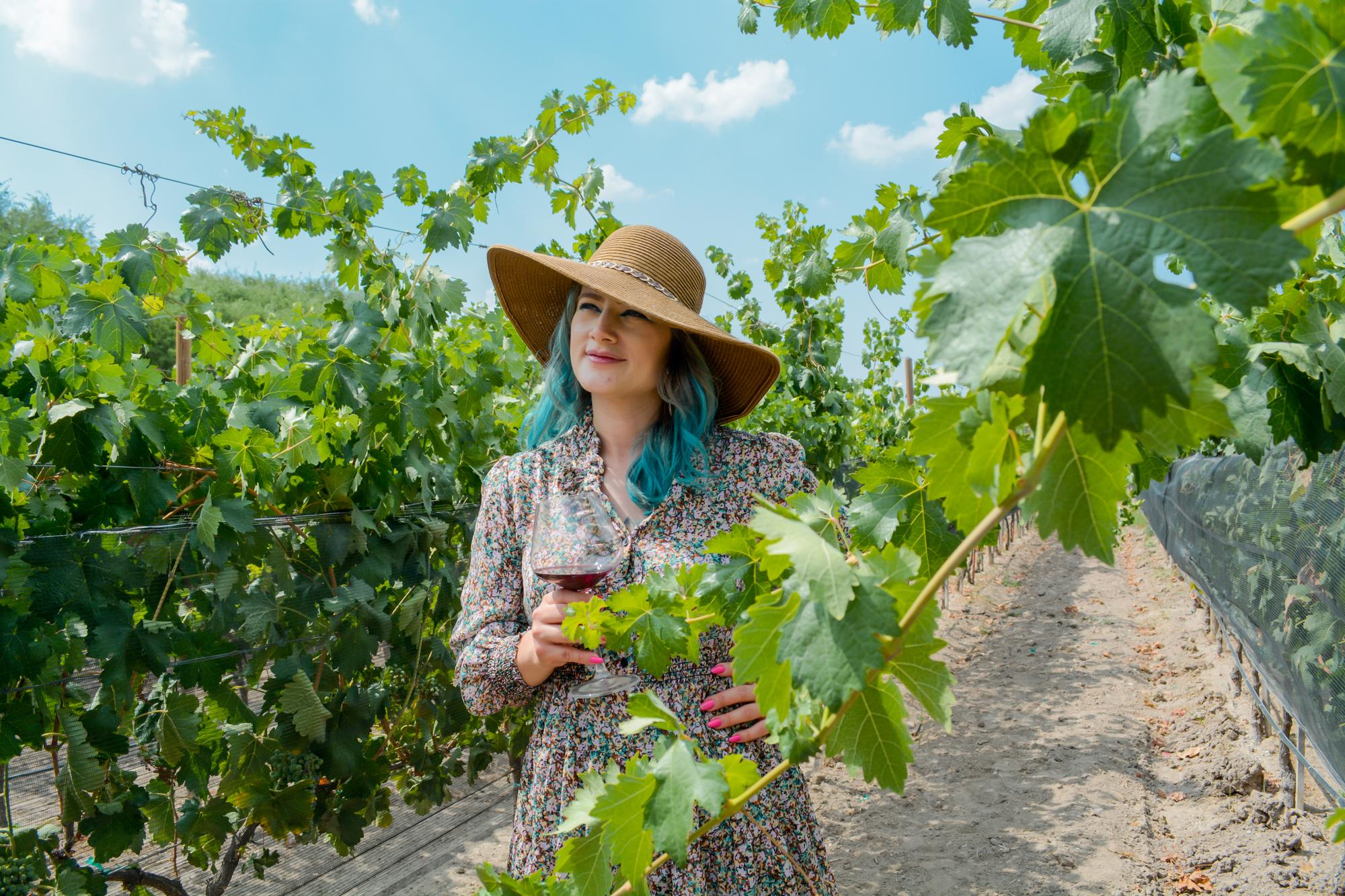 vinedo patria horizontal 22